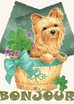 Gifs animés bonjour petit chien